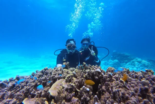 Couple scuba diving