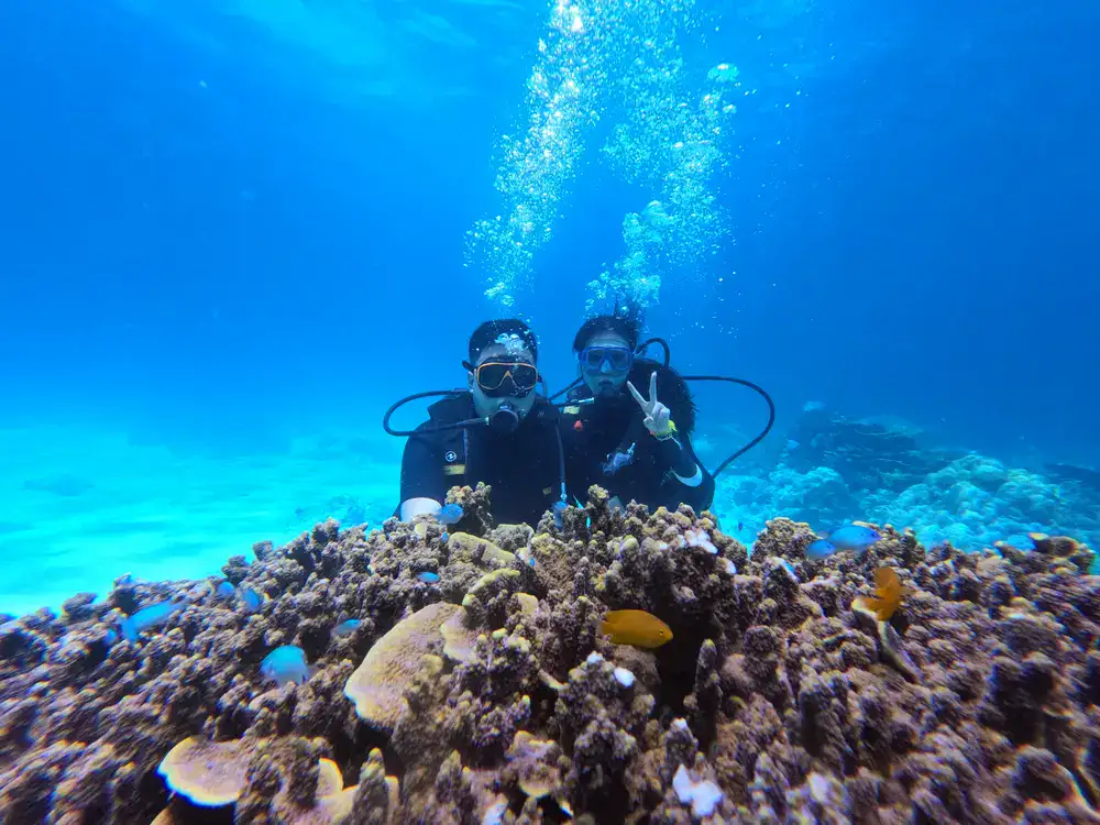 Couple scuba diving