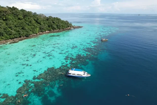 Phi Phi Island Tour