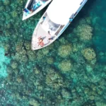 Speedboat Phi Phi Island Tour