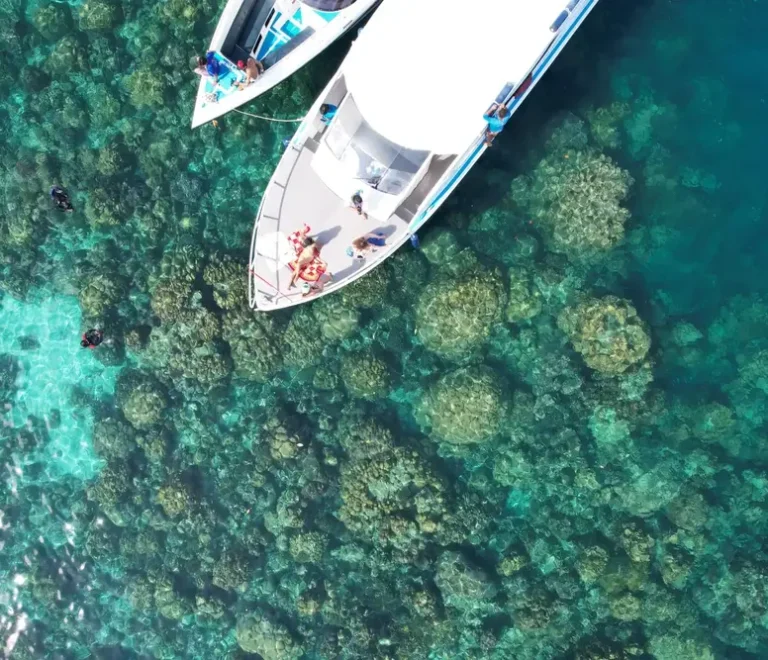 Speedboat Phi Phi Island Tour