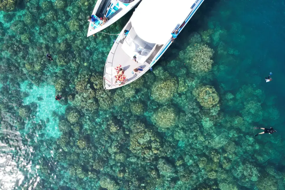 Speedboat Phi Phi Island Tour