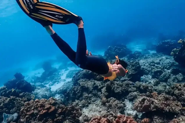 Free dive snorkeling