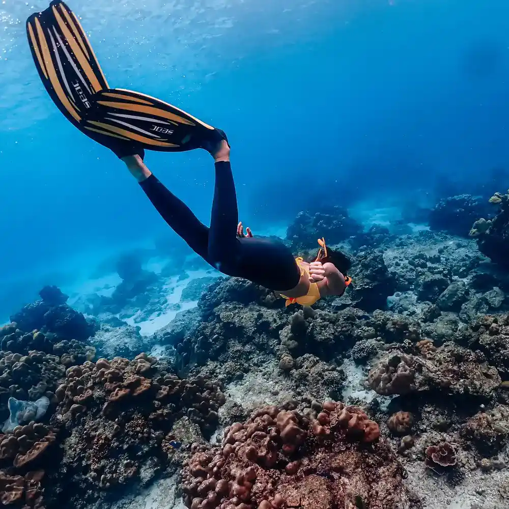 Free dive snorkeling