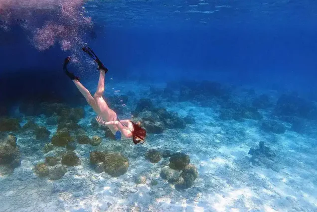 Free dive with beautiful marine life
