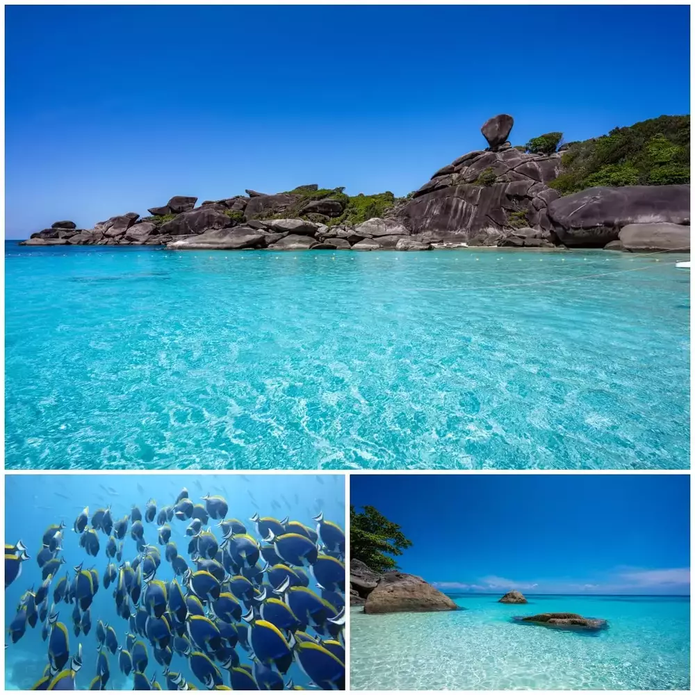 Group photo of the Similan