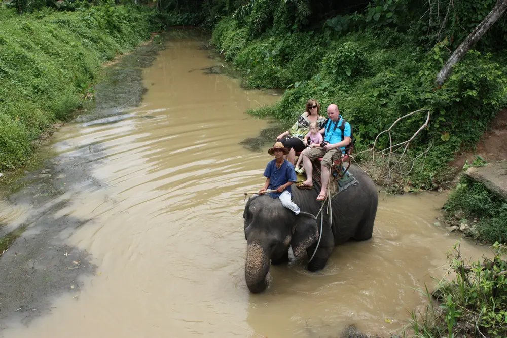 Elephant Riding