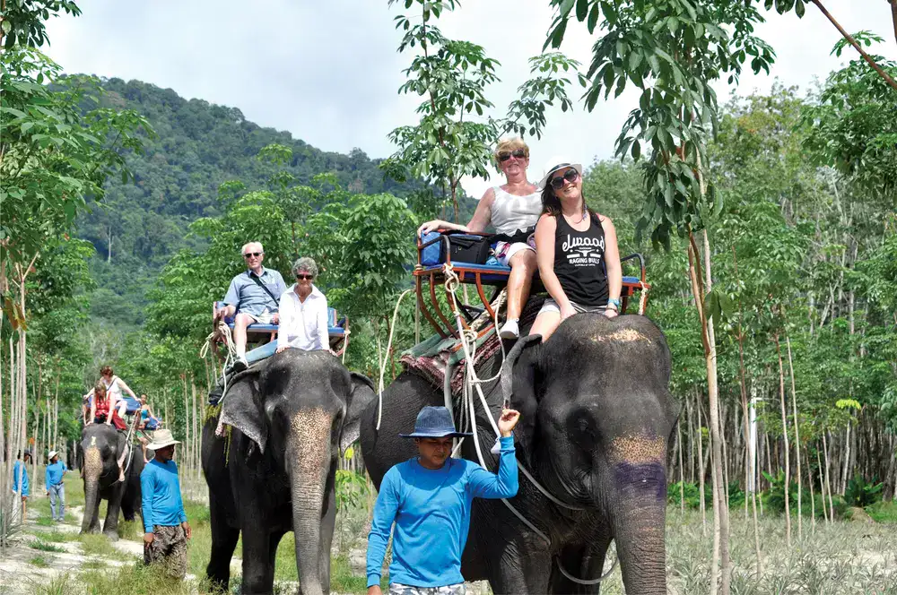 Elephant Riding Phuket