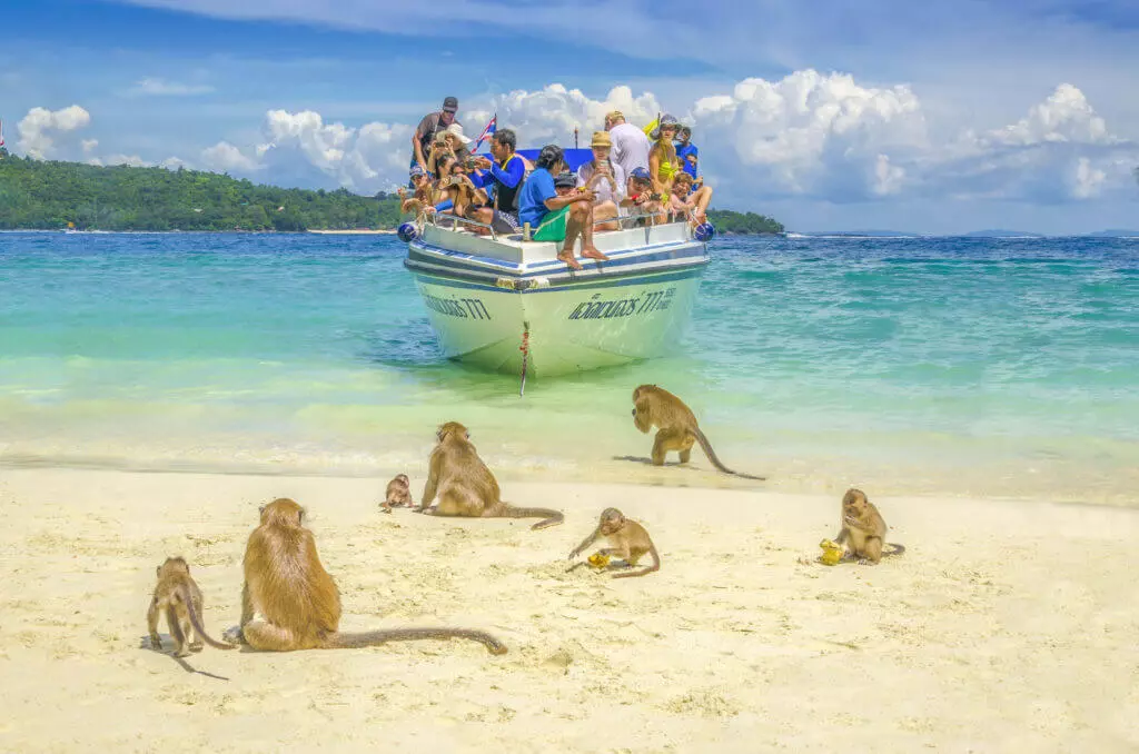 Phi Phi Island Monkey Beach