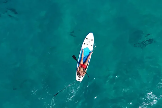 Paddle Boat