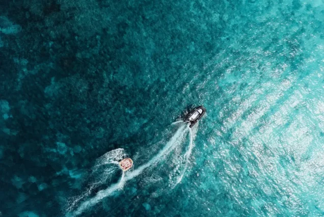 Surf Sofa