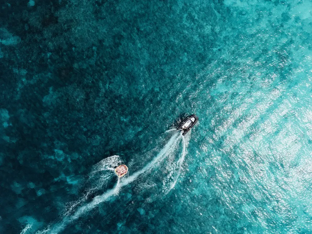 Surf Sofa