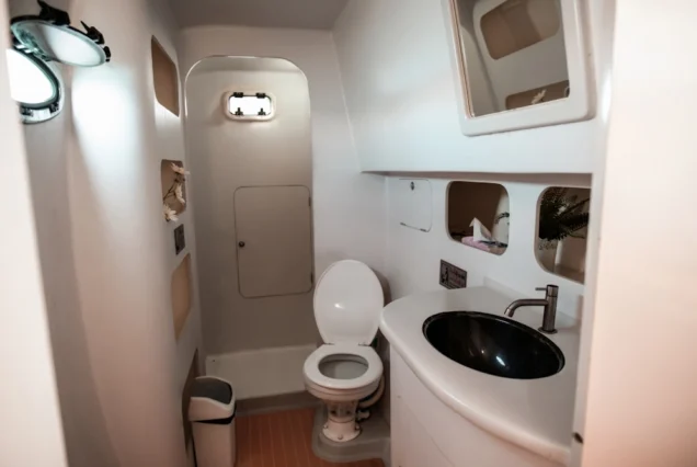 Toilet of vibes