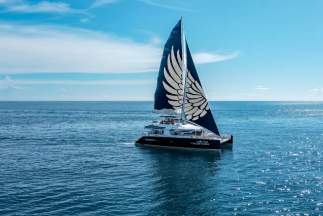 Black Wing Catamaran aerial view on the sea in Phuket