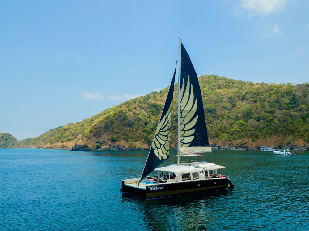 Black Wing Catamaran for a comfortable family island tour from Phuket