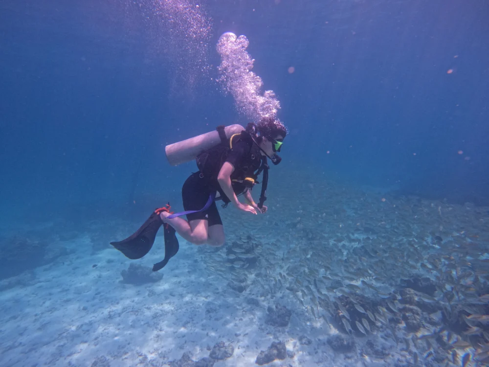 Diving customer meeting a group of fish underwater at Racha Island Phuket