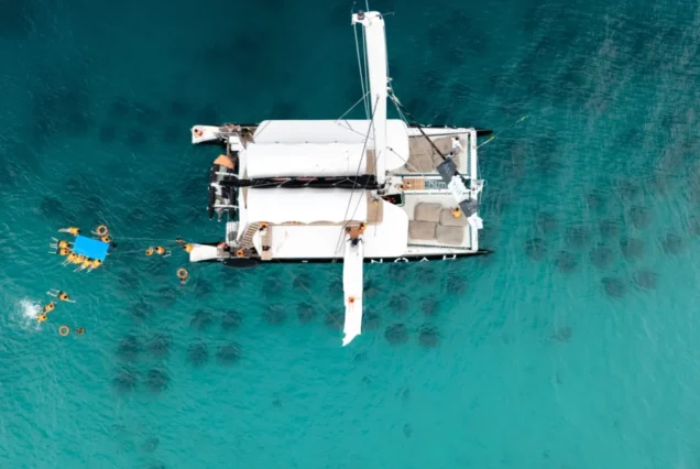 Water-slide experience from Noah Catamaran