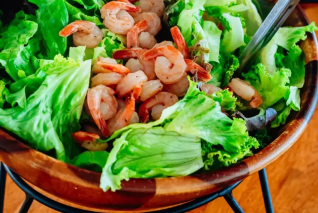 Premium dishes prepared for Noah Catamaran guests