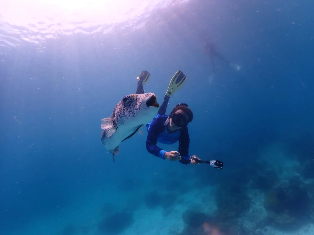 Traveler swimming with tropical fish during a Phi Phi Island snorkeling stop