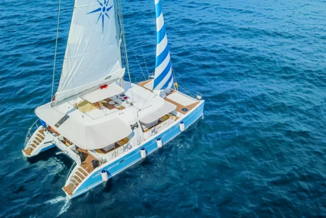 Aerial side view of Silver Catamaran on clear sea