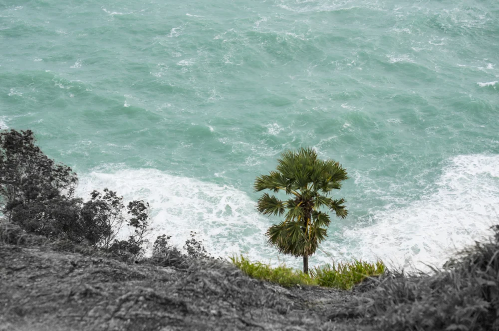 Main viewpoint and coastal scenery at Laem Phromthep in Phuket