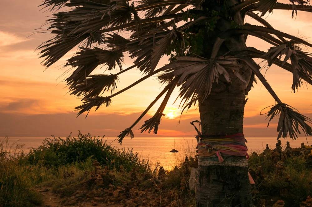 Palm-lined walking route descending along Promthep Cape Phuket