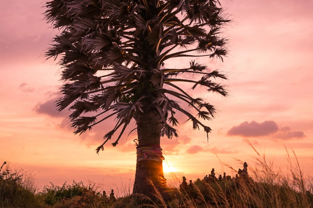 Last palm trees along the narrow headland of Promthep Cape
