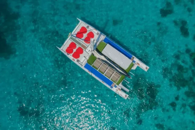Aerial view of Aquaman Catamaran at sea