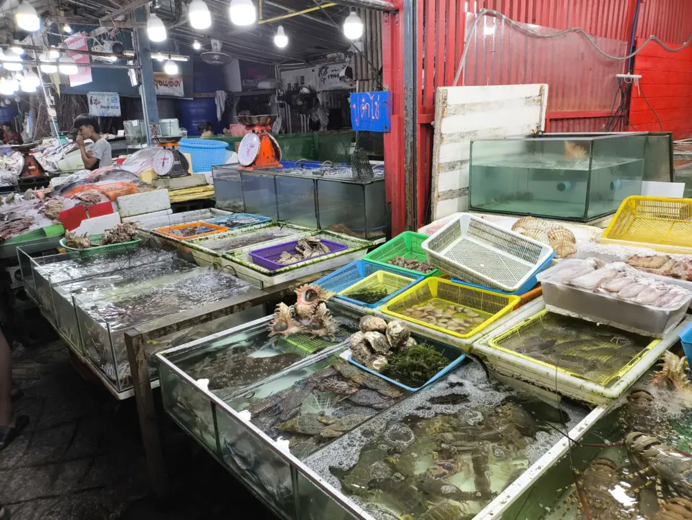 游客在拉威海鲜市场挑选海鲜