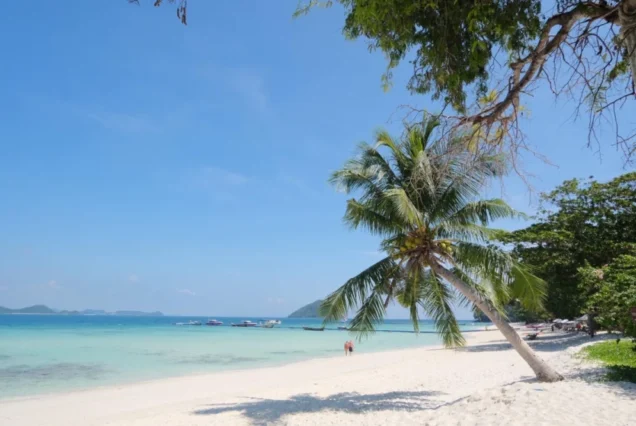 Palm trees and beach scenery on Coral Island