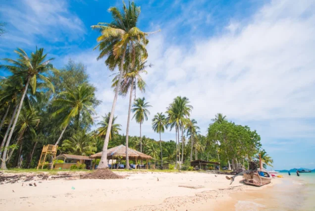 Palm trees and sandy beach on Naka Yai Island