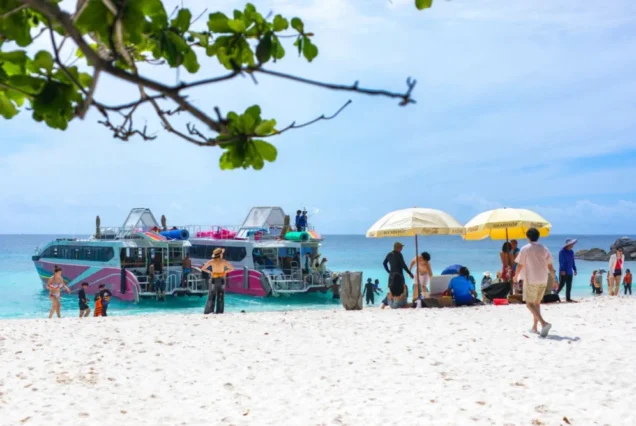 Picnic on the beacch with Seastar Catamaran