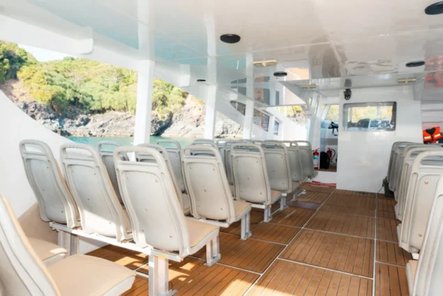 Rear-to-front view of individual seats inside the Taurus cabin
