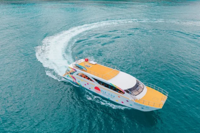 Tip-Top Catamaran cruising at sea